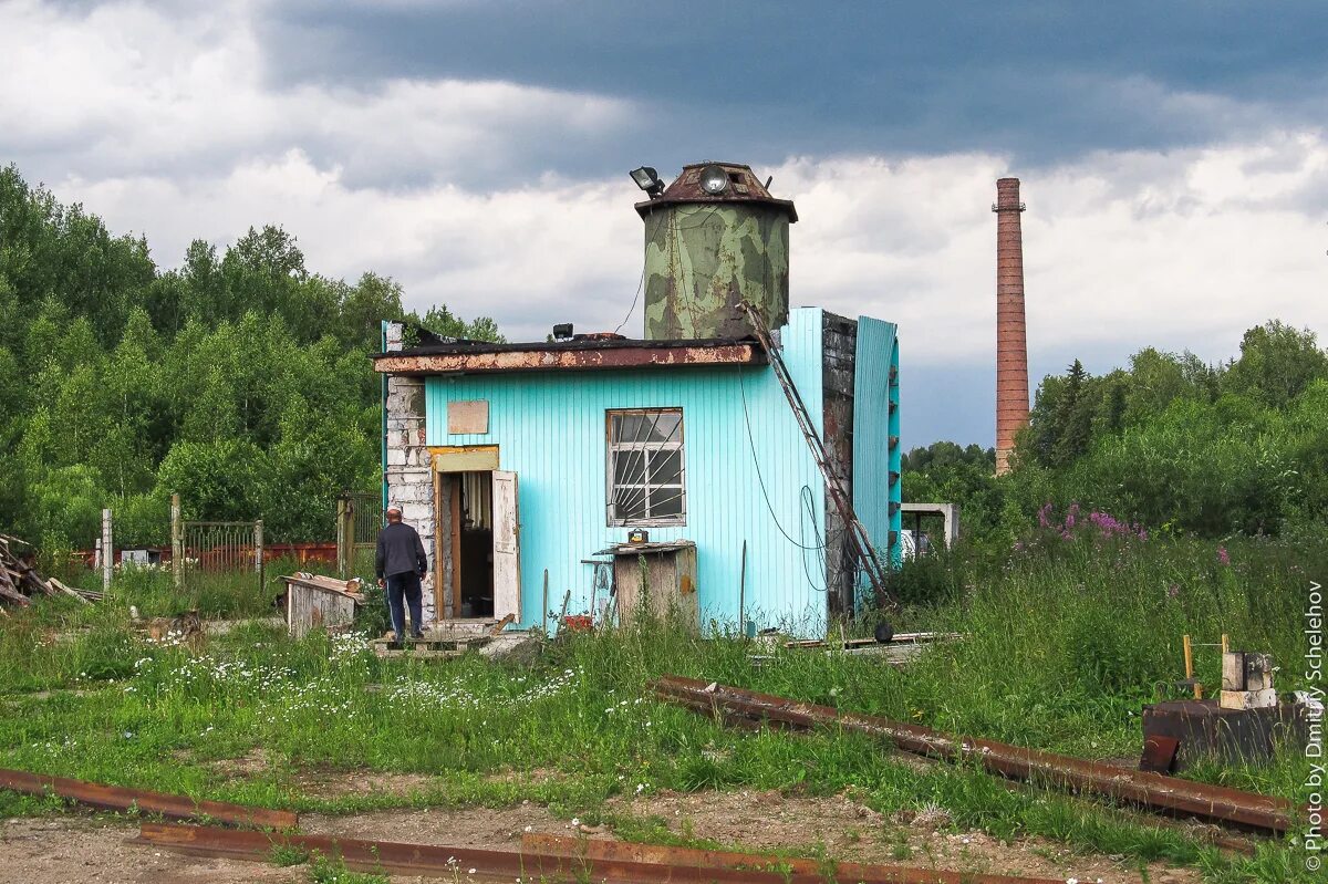 Гнилицкие дворики нижегородская область. Бжрк радовицкий мох. Задворках воскресенское. Задворки технология. Задворках воскресенское.
