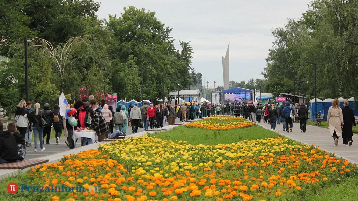 Толпыдворы день города. Пенза население 2022. Листья которые растут в Пензе в Пензенской области разорван звезды.