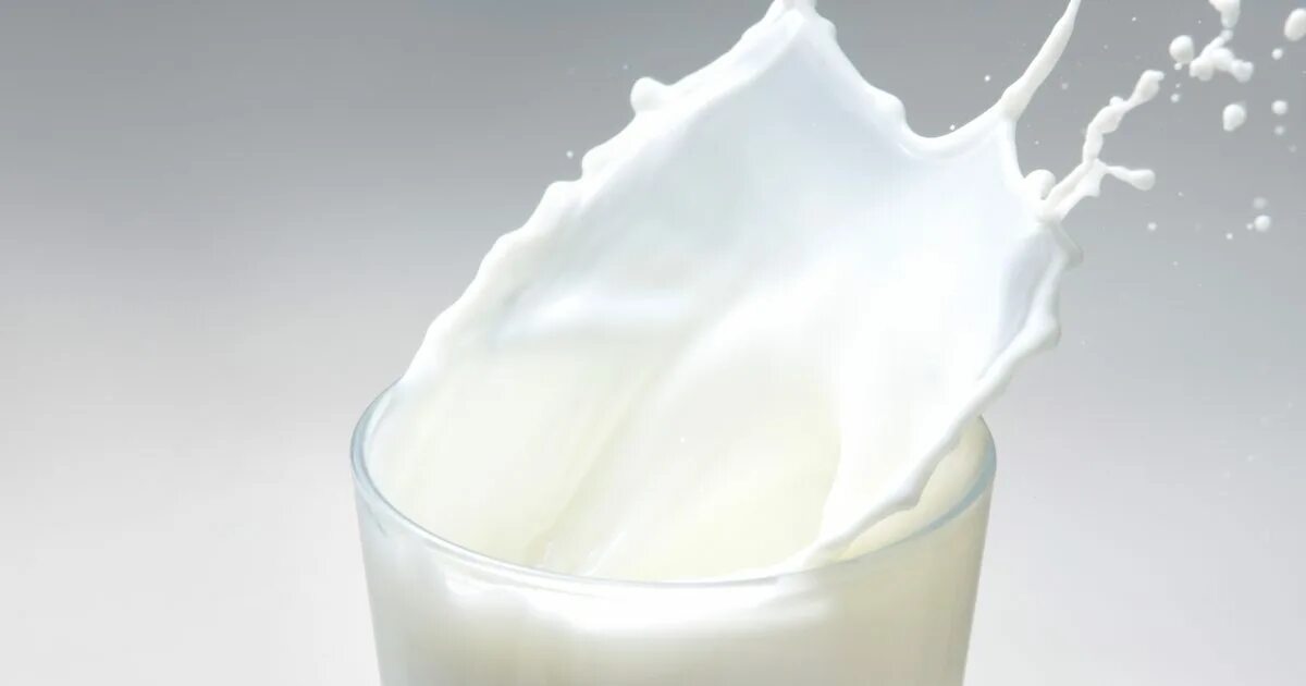 Казеин белок молока. Протеин на молоке. Молоко лактоза. Молоко картинка.