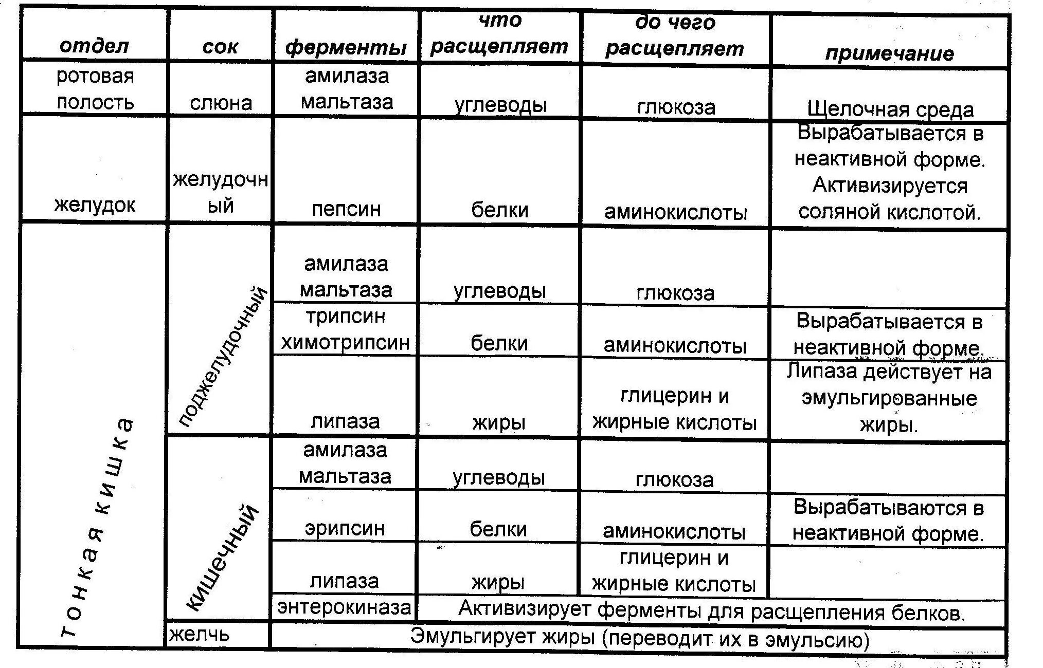 Слюна таблица. Ферменты слюны таблица. Функции ферментов слюны. Ферменты слюны расщепляют … До ….