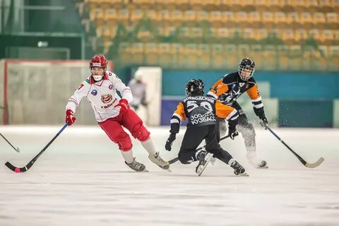 Лига хоккей с мячом