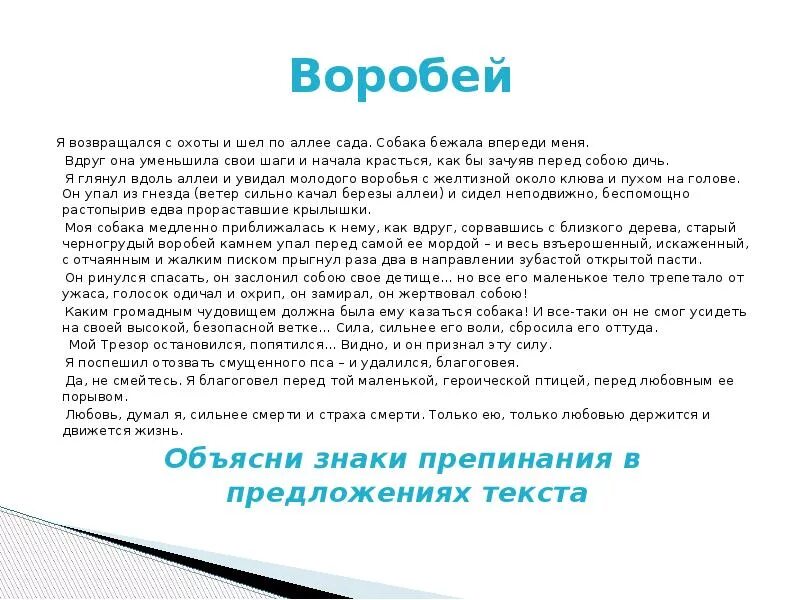 Сидел впереди меня. Воробей текст я возвращался с охоты и шел по аллее сада. Я возвращался с охоты и шел по аллее сада. Изложение Воробей. Текс я возвращался с охоты.