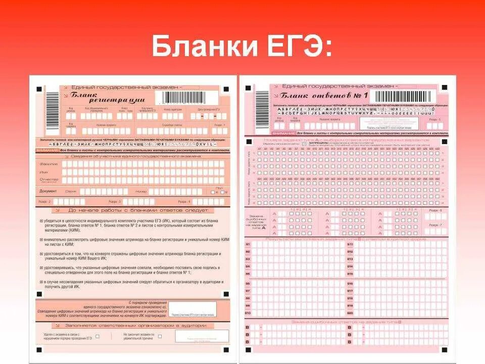 Образцы бланков егэ 2024