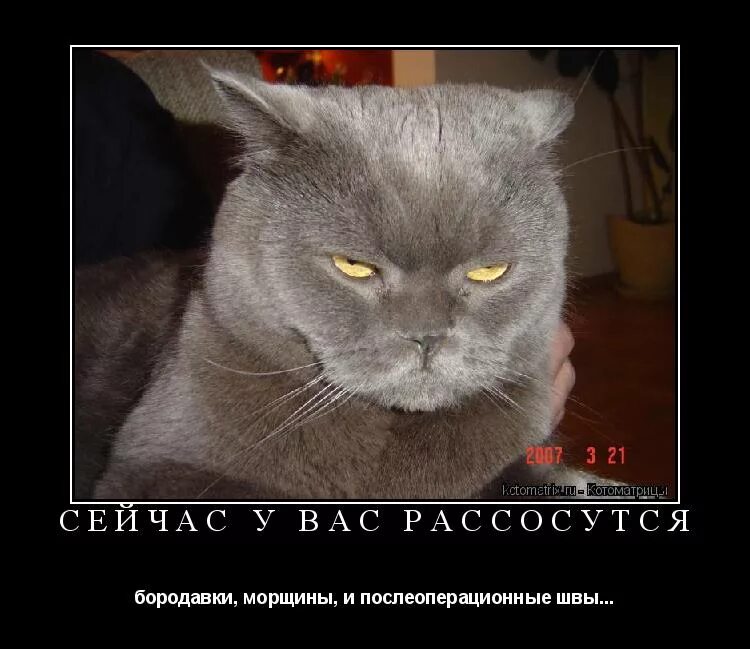 Поматросил и бросил картинки. Поматросил и бросил. Если работа мешает пьянке бросай работу. Отказался пить с друзьями. Когда отказался пить.
