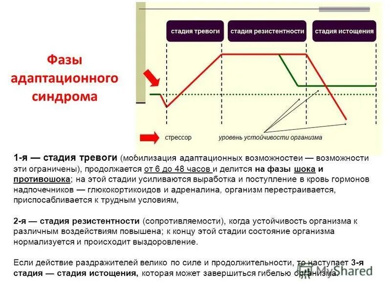 Тревоги, резистентности, истощения селье. Фаза тревоги. Фазы развития общего адаптационного синдрома. Фазы общего адаптационного синдрома. Стадия тревоги резистентности истощения.