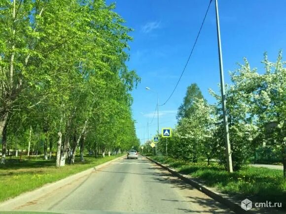 Владельцу крупного завода в Тюмени придется вернуть миллионы рублей: Яндекс.Ново