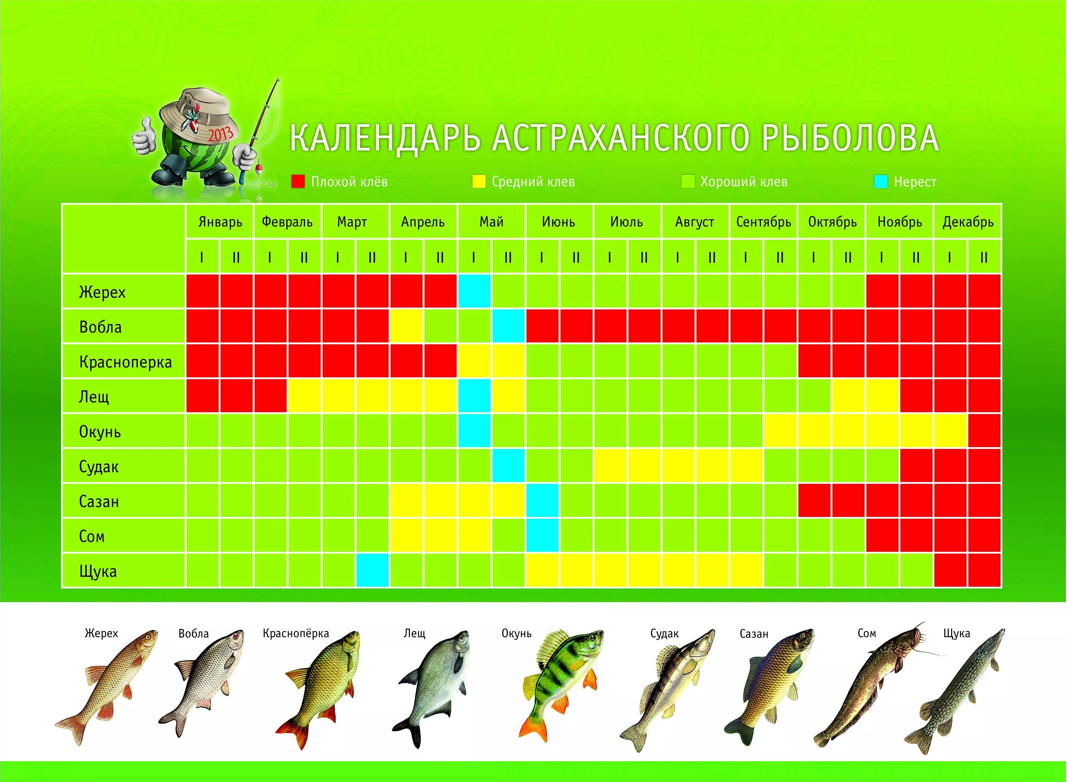 Календарь рыболова на март 2024г. Таблица клева рыбы по месяцам. Таблица клева щуки. Рыбный календарь. Рыбный календарь клева.