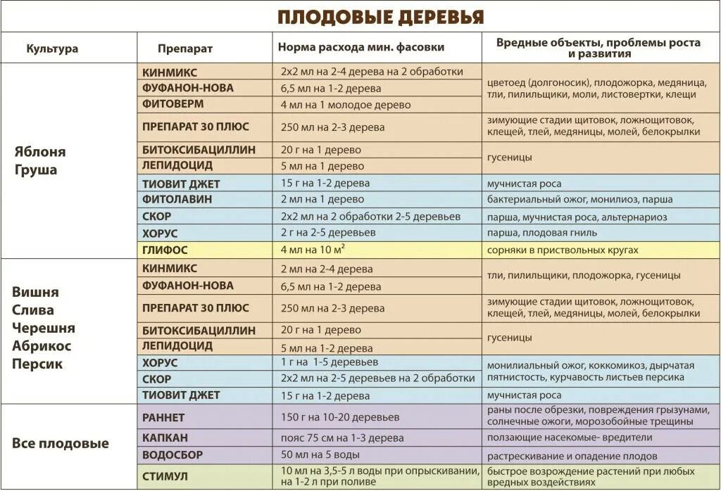 В какую погоду опрыскивать деревья