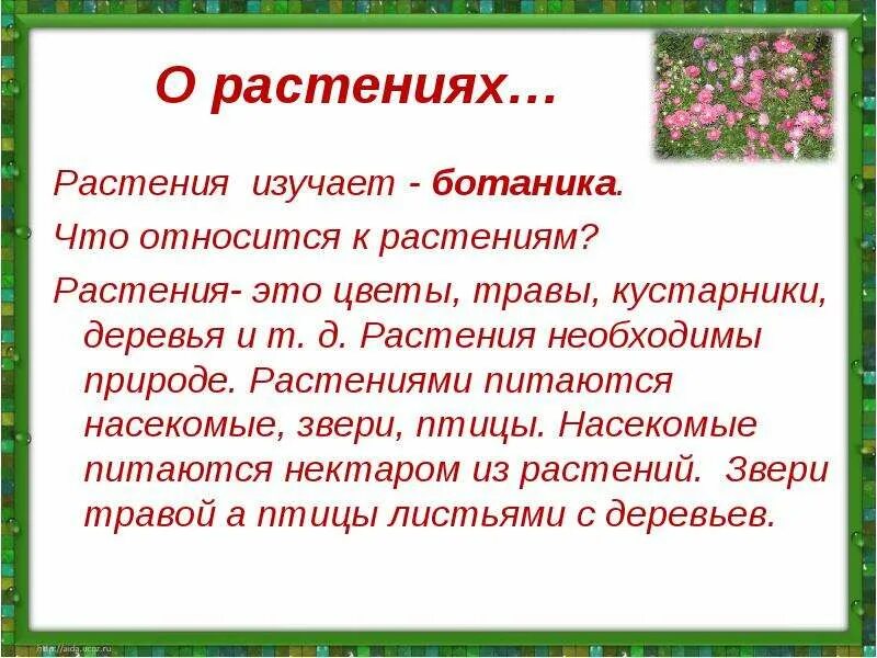 Ботаническая наука изучающая оплодотворение растений. Что изучает ботаника. Изучать растения. Как изучают растения. Науки изучающие растения.