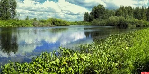 Зауралье курганская область