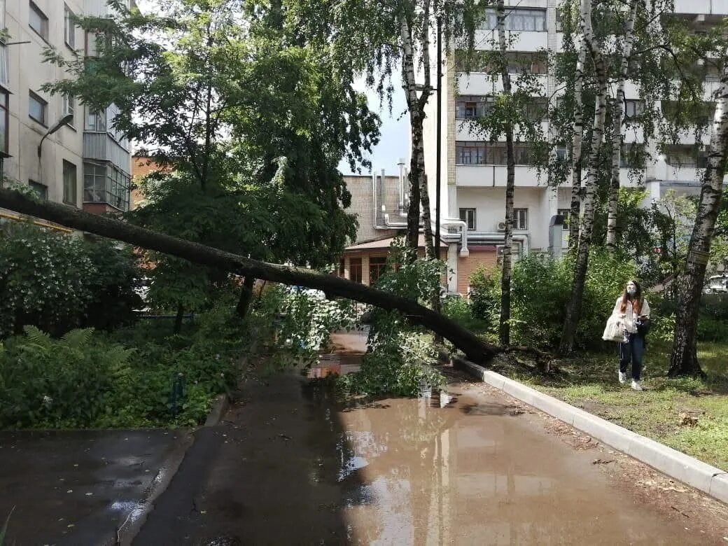 После не так давно прошедшего дождя. Тамбов затопило. Улицы Тамбова затопило. Дворики Тамбов затопило. Фотография ливни в Тамбове.