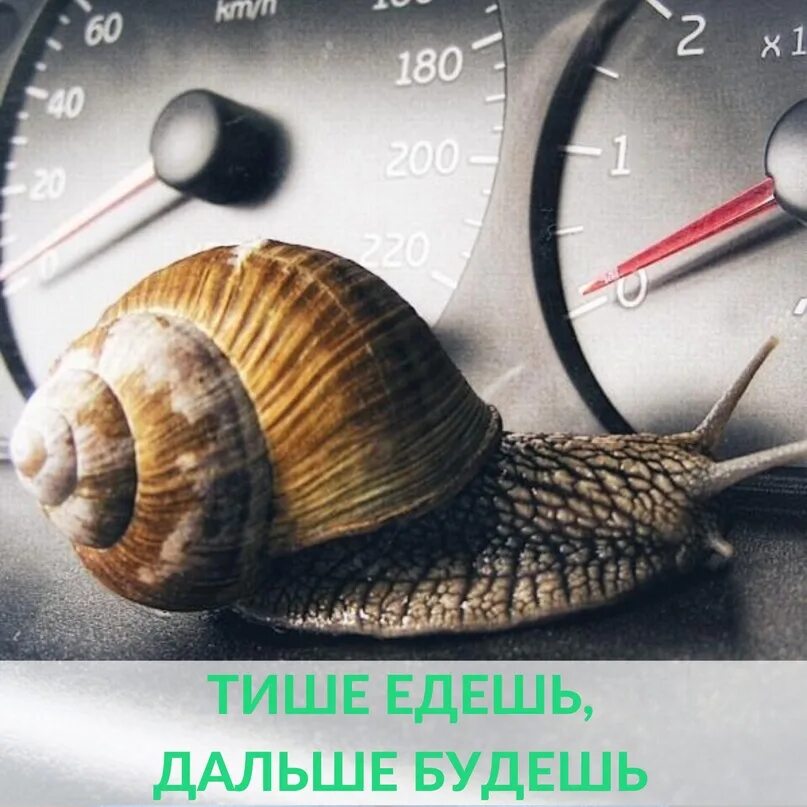 Поиграем в игру тише едешь дальше будешь. Тише бужешь дальше будешь. тише едешь дальше дальше будешь. пословица тише едешь дальше будешь. тише едешь дальше будешь иллюстрация.