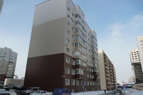 Аралия южно сахалинск