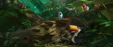 Видео rio