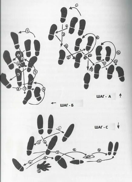 Танго шаги для начинающих. Схема шагов в аргентинском танго. Танго для начинающих основные шаги. Шаги в вальсе схема для мужчин. Основные движения в танго схема.