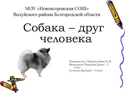 Мини сочинение собаки лучшие друзья людей
