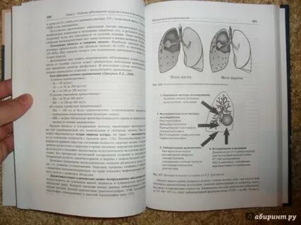 Скрипкин кубанова