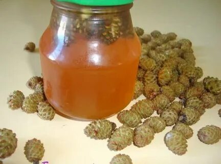 Шишки сосны настойка применение