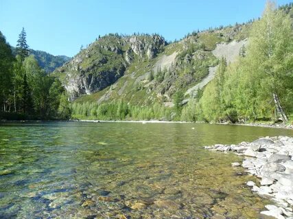 Altai krai arbitr