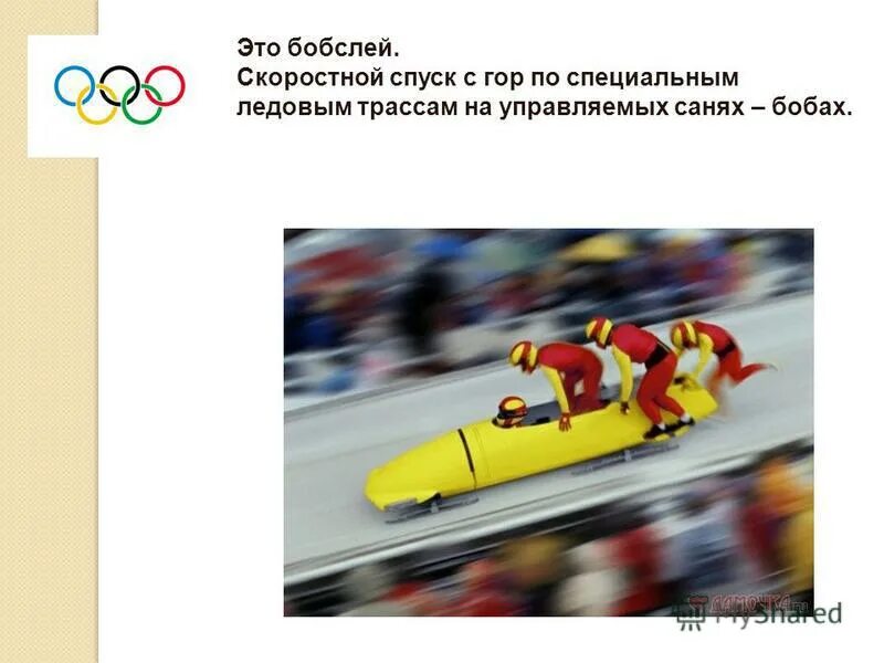 Санный вид спорта сани. Как называется скоростной спуск на управляемых санях. Как называется скоростной спуск на управляемых санях. Бобслей история возникновения. Бобслей спуск.