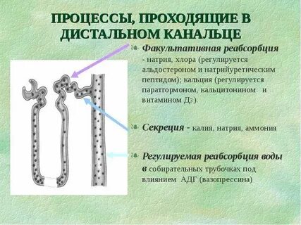Процесс прошел