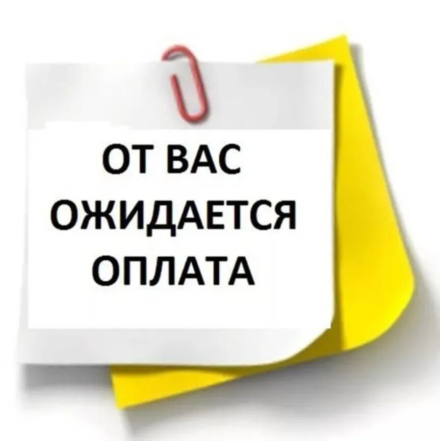 Оплату не забудьте. Девочки оплачиваем. Не задерживаем оплату. Внимание оплата. Напоминаю про оплату заказа.