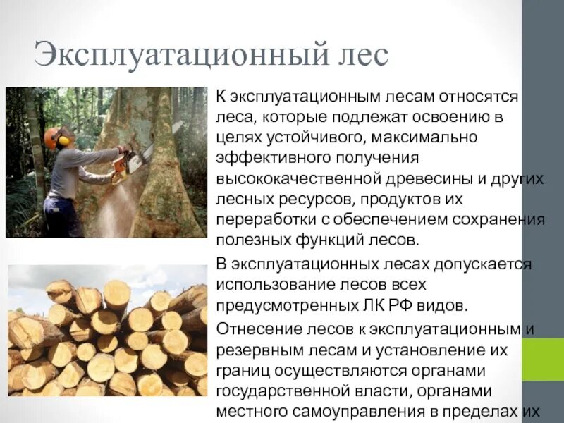 Валежник в лесу. Недревесные ресурсы леса презентация. Заготовка и сбор недревесных лесных ресурсов. Ветровал сухостоя. Сбор лесных ресурсов.