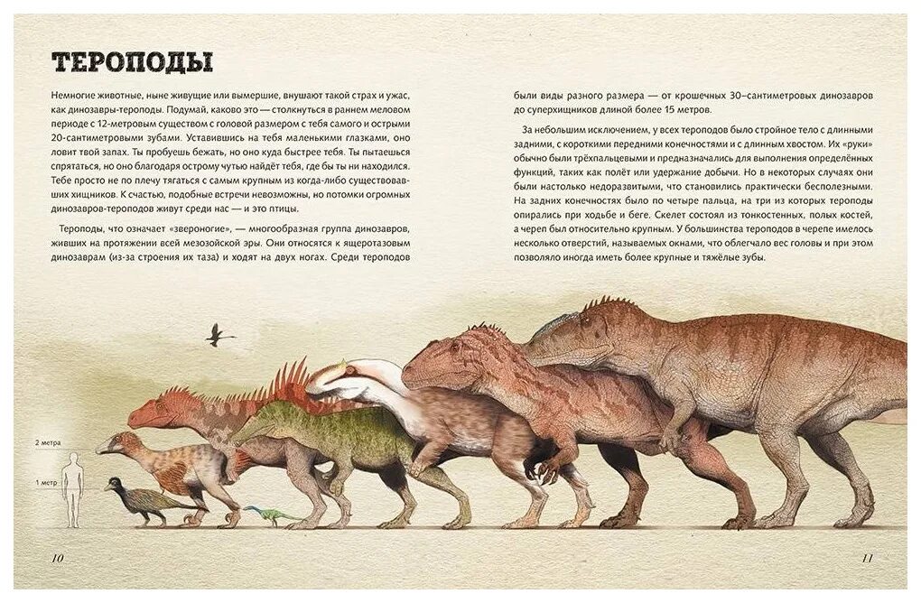 Динозавров и других древних животных. Энциклопедия натуралиста юрский период. Энциклопедия натуралиста юрский период. Книга юрский период динозавры и другие доисторические животные. Динозавры в.