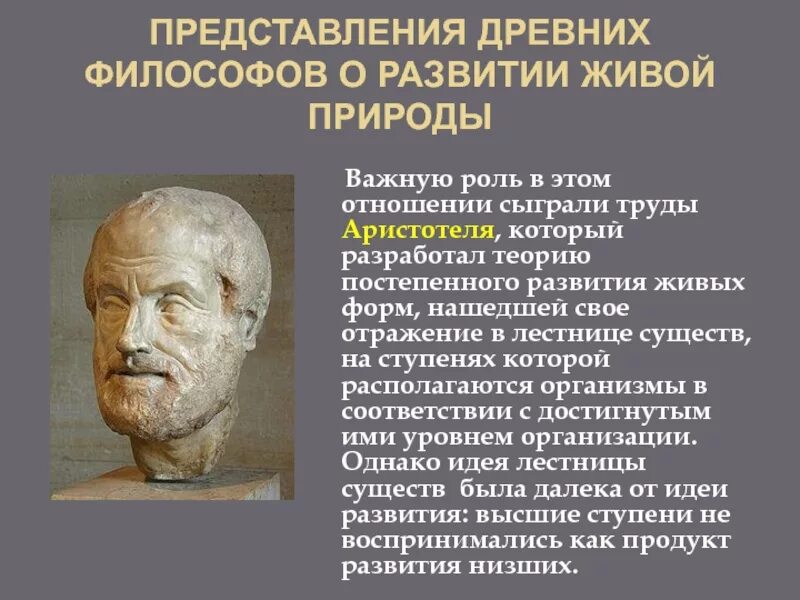 Античный мыслитель разработавший государственную систему образования