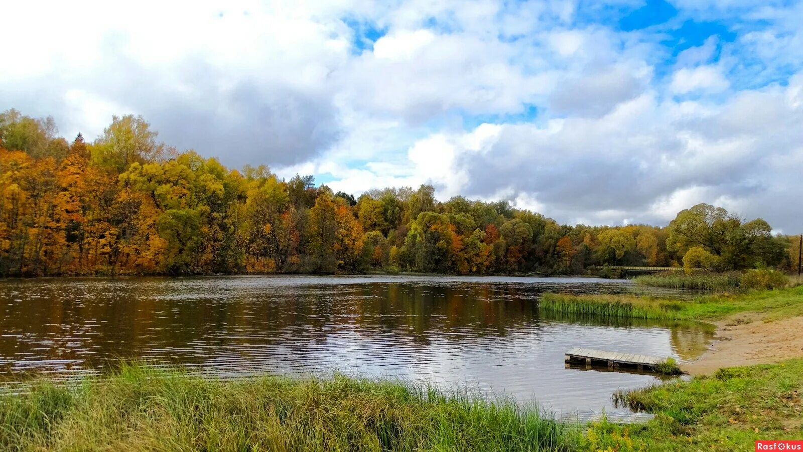 Смоленск пригород озеро. В селе черепово. Оз александровское смоленск. Озеро купринское смоленская область. Река смольная в смоленске.