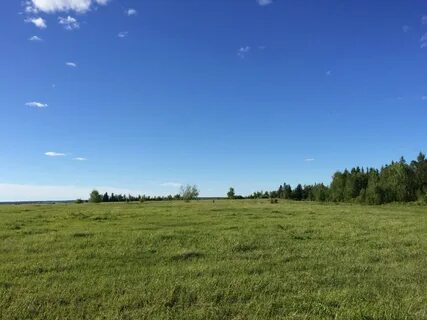 Алаас