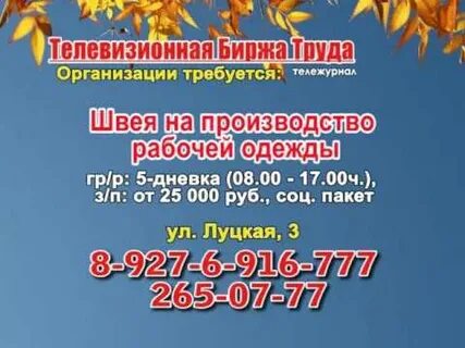 Биржа труда железногорск курской