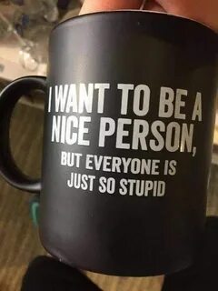 Just stupid