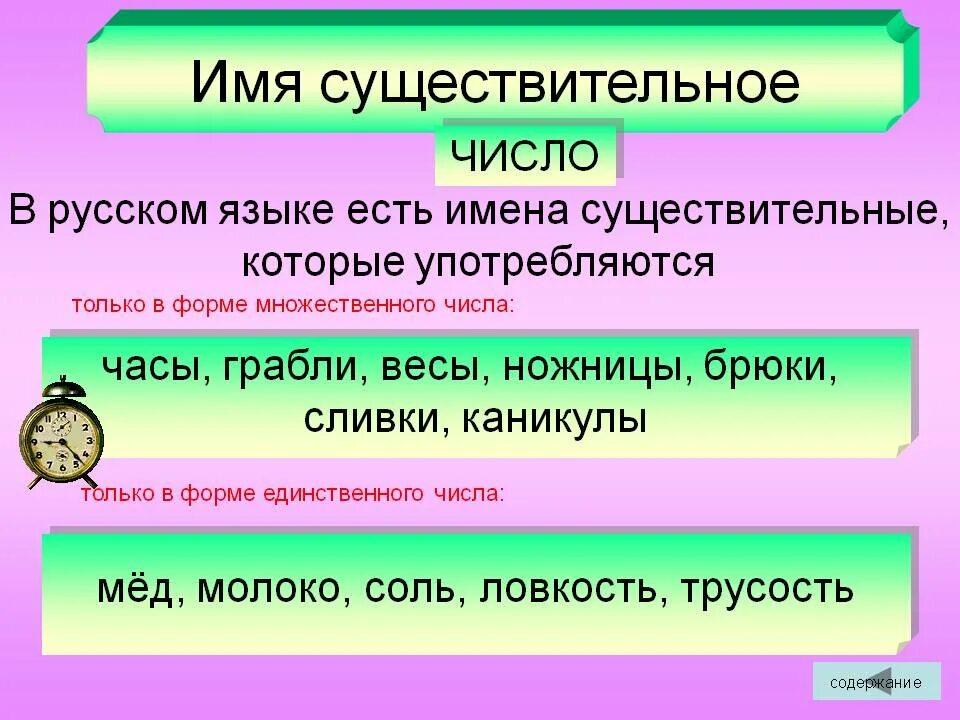 Число имен существительных. Числа имен существительн. Число имён существительных 5 класс. Число имён существительных 3 класс.