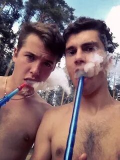 Ковтун ярославль