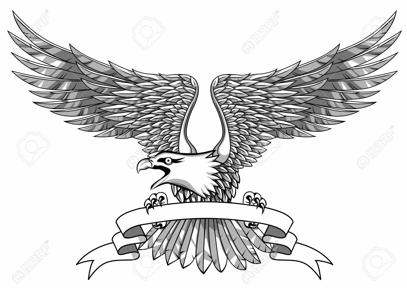 Геральдический орел. Геральдическая птица. Геральдический орел. Орел для герба. Орел для герба.