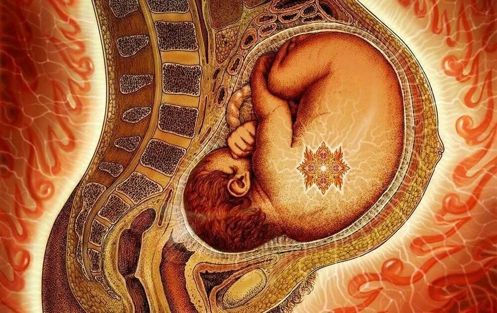 Таррар обжора внешность. Ненасытная утроба. Ребёнок на 32 неделе беременности. Стих про корову смешной. Расположение ребёнка 39 недель.