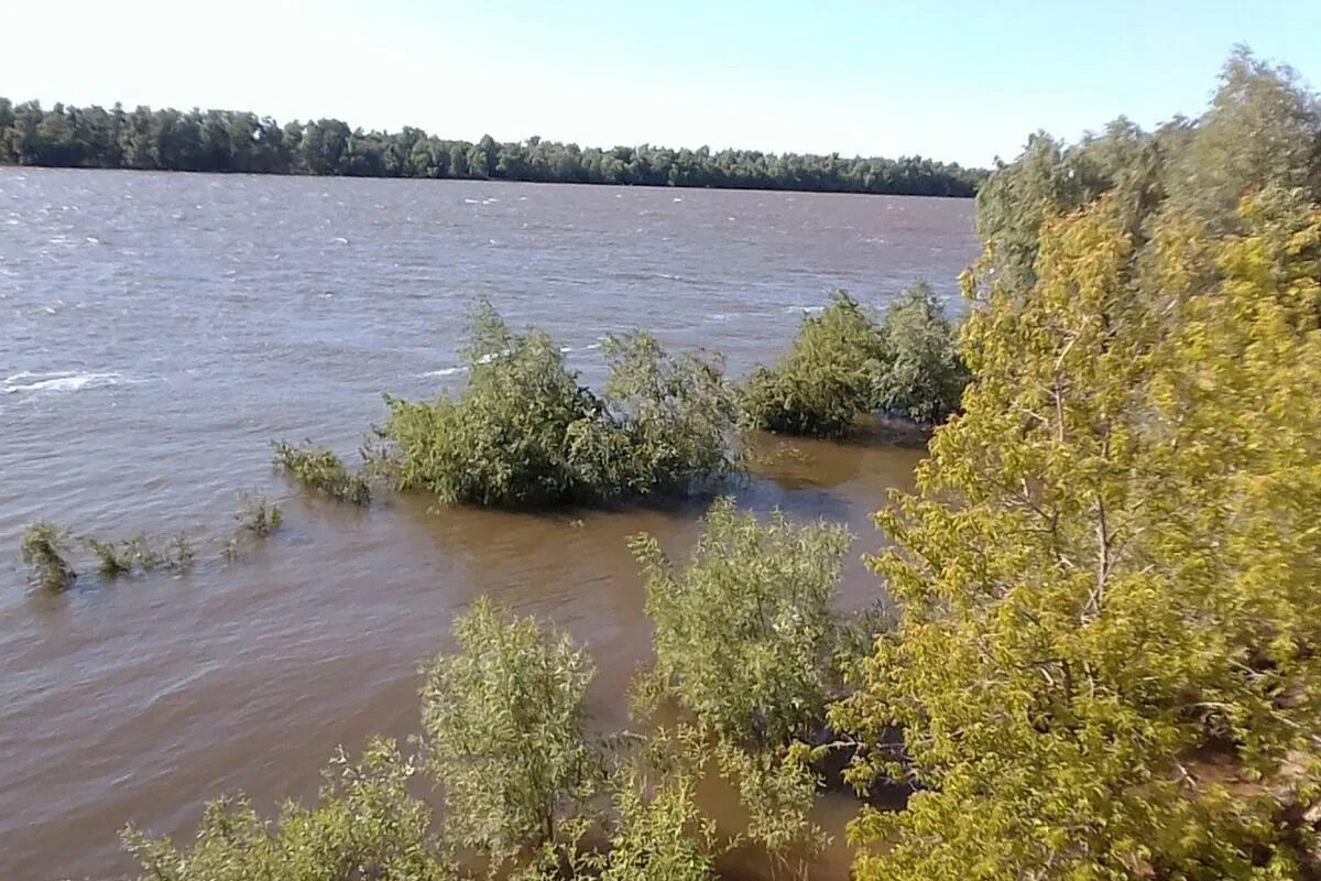 Уровень воды в реке иртыш омск. Озеро Иртыш в Омске. Омск Чернолучье берег Иртыша. Уровень воды в Иртыше Омск. Иртыш 2021 река.