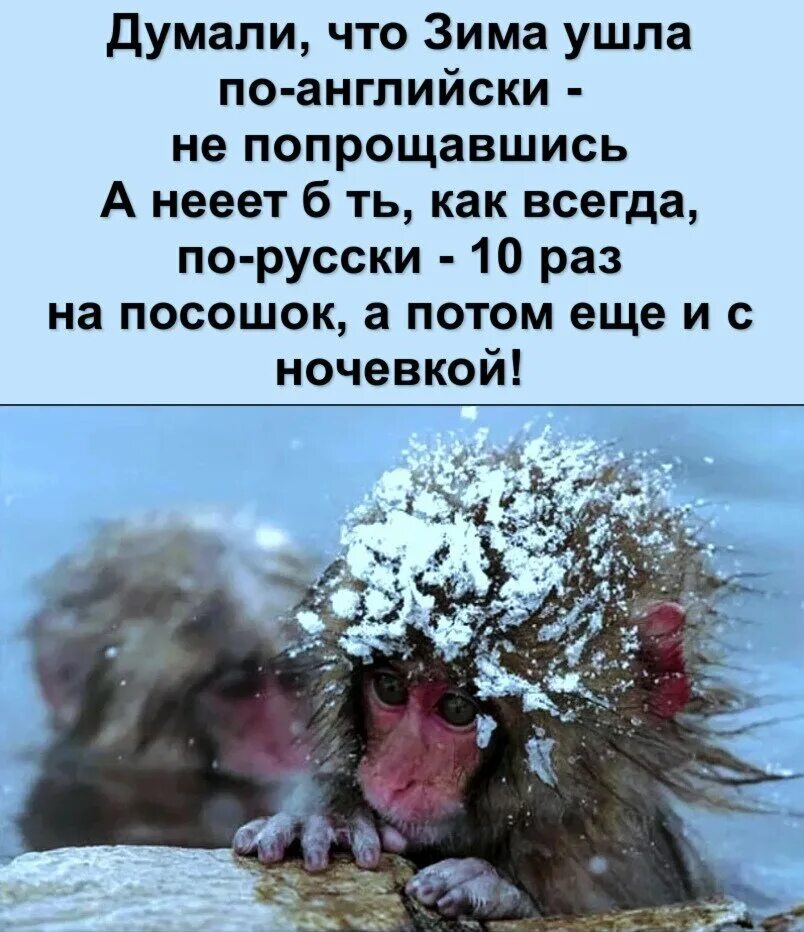 Зимой думаешь. Зима не уходит по английски. Думали зима ушла по-английски не попрощавшись. Зима уходит. Зима не уходит.