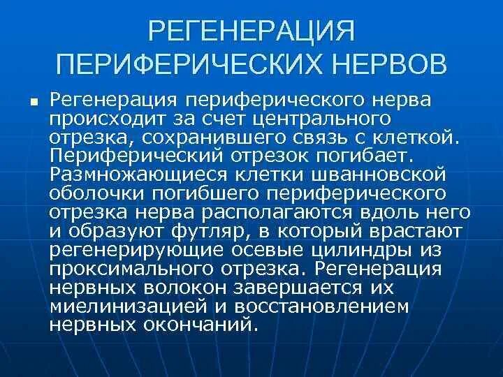 Регенерация нерва. Регенерация периферического нерва. Регенерация нервов. Регенерация нерва гистология. Восстановление нервов после операции