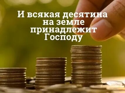 Восточная десятина 4