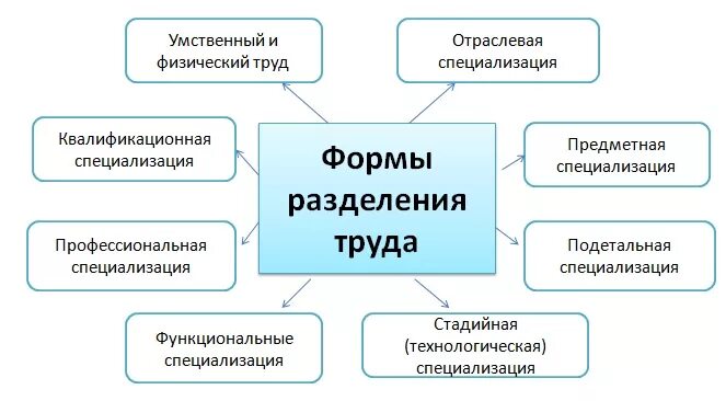 Специализация это в истории. Разделение труда и специализация схема. Какие бывают формы разделения труда. Формы и виды разделения труда в организации. Основные виды разделения труда на предприятии.