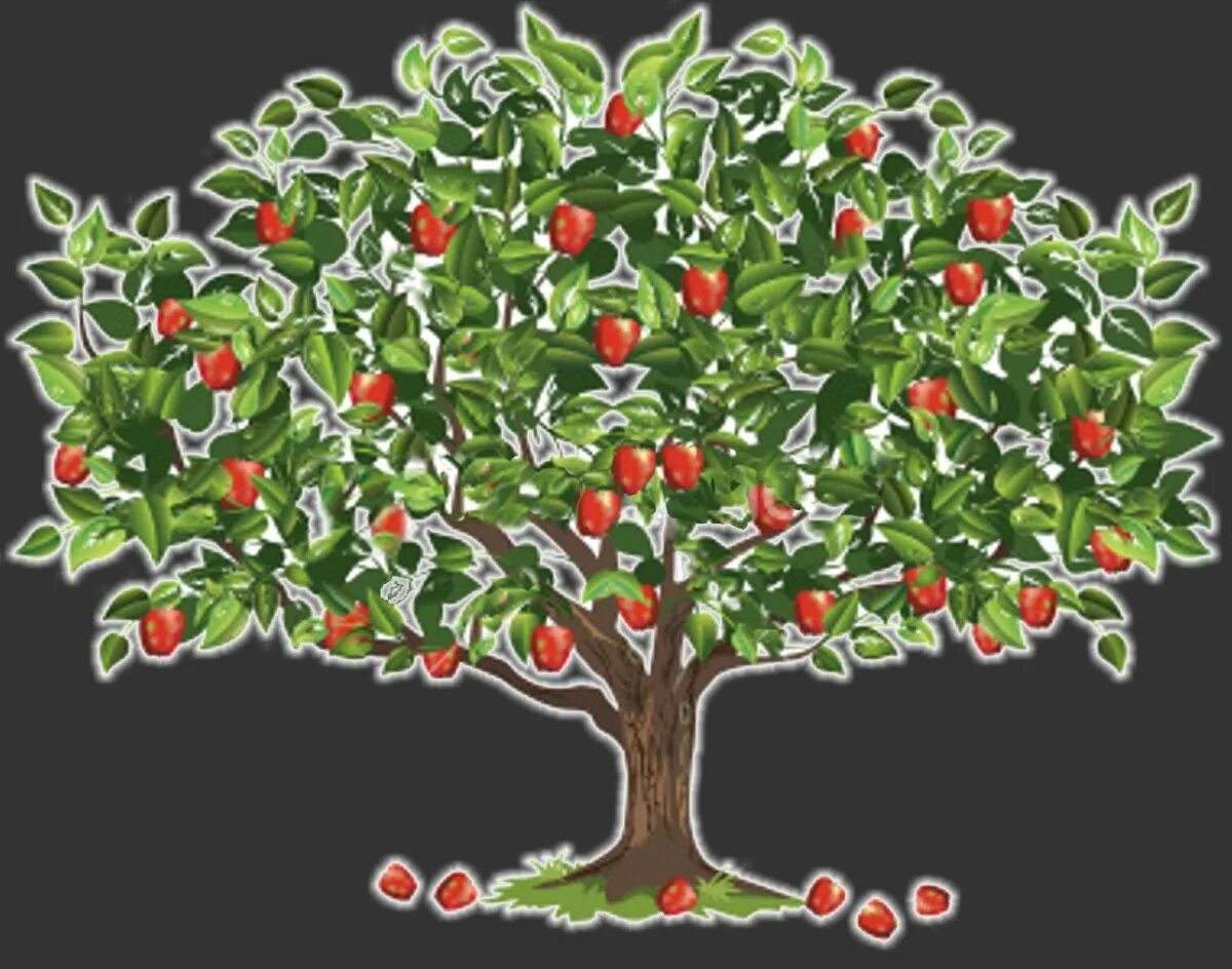Яблони огэ. Яблоня Невилл Копман. Дерево яблоня с яблоками. Яблоня Эльдорет. Дерево яблока с сблоками.