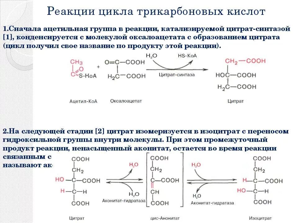 Реакции образования кислот. Реакции образования кислот