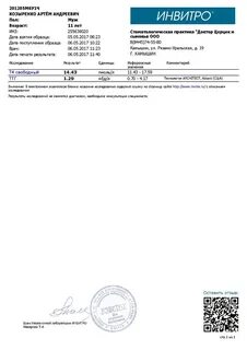 Яйцо инвитро