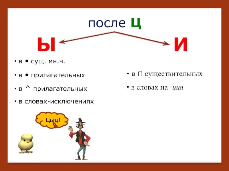 И после ц в прилагательных