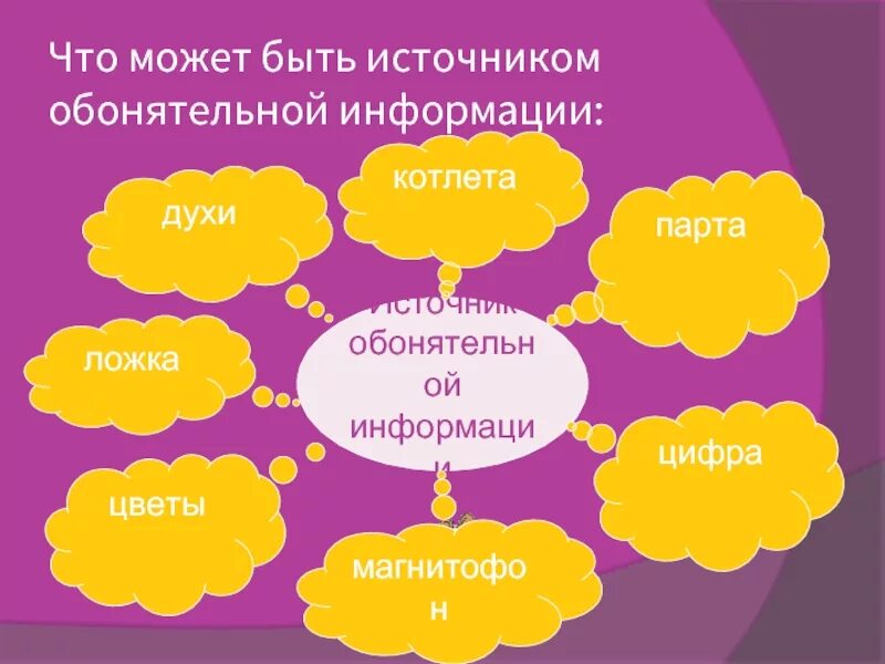 Источник обонятельной информации. Обонятельная информация примеры. Виды информации обонятельная примеры. Примеры обонятельного источника информации.