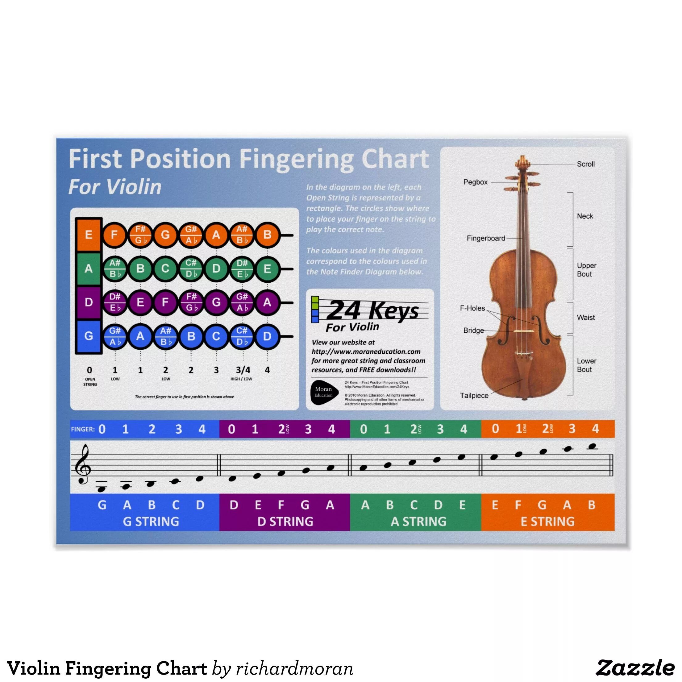 Где ноты скрипки. Расположение нот на грифе скрипки. Расположение нот на скрипке 4/4. Расположение нот на грифе скрипки для начинающих. Ноты на скрипке для начинающих расположение.