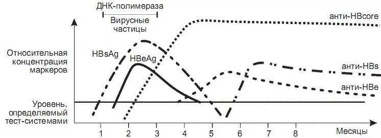 Маркеры hbsag. Динамика маркеров гепатита б. Гепатит б серологические маркеры. Острый период вирусного гепатита с маркеры. Маркеры вирусных гепатитов пропедевтика.