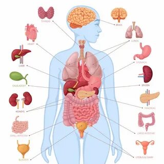 Rus Natashas bilan turk porno